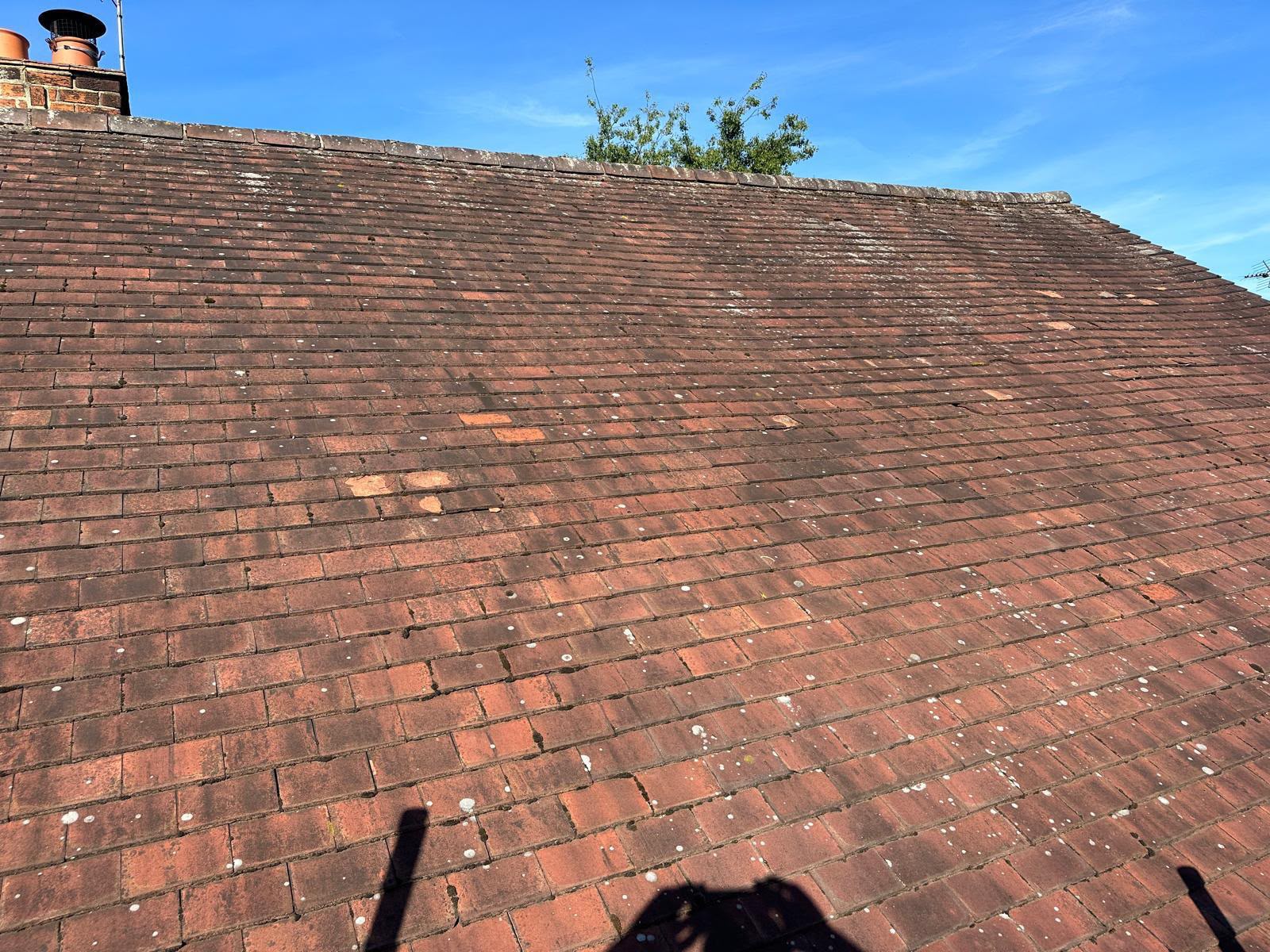 Weathered mossy red tiles on an aged roof surveyed before a re-roof